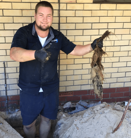 blocked pipes mandurah